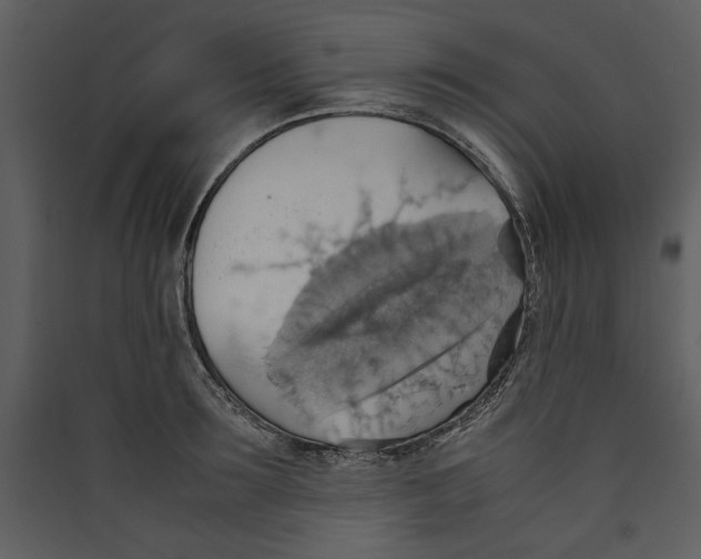 X0000089370899200707131634