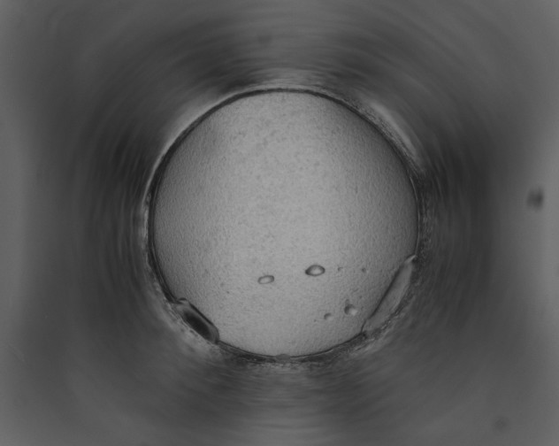 X0000089370900200707131634