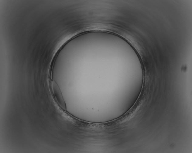 X0000089370901200707131634