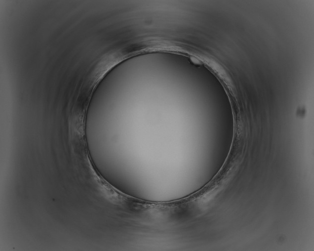 X0000089370905200707131634