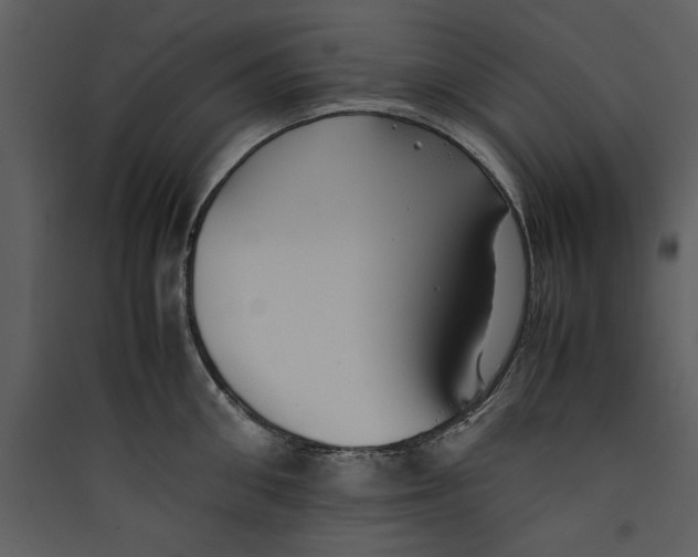 X0000089370906200707131634