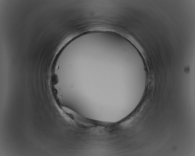 X0000089370909200707131634