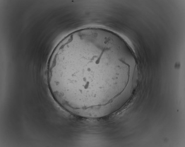 X0000089370911200707131634