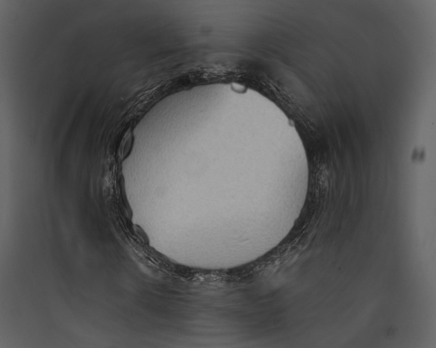 X0000089370914200707131633