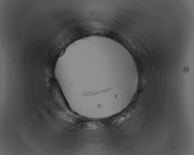 X0000089370916200707131633