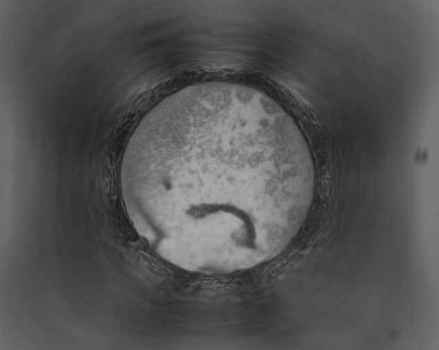 X0000089370917200707131633