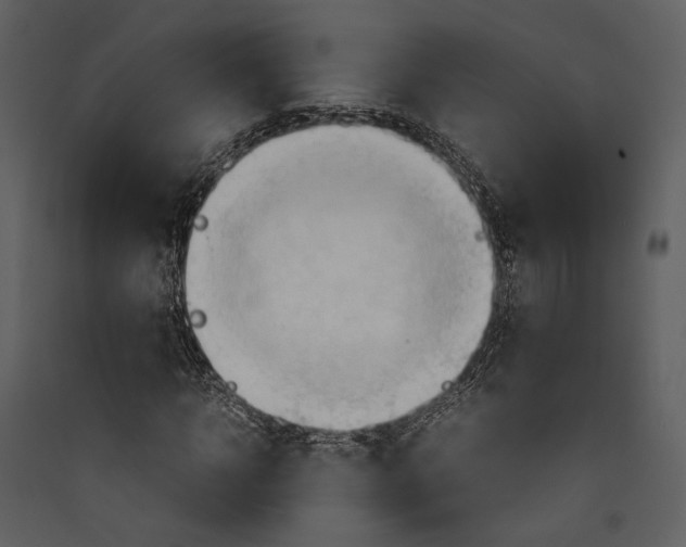 X0000089370918200707131633