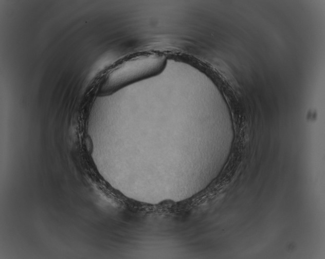 X0000089370920200707131633