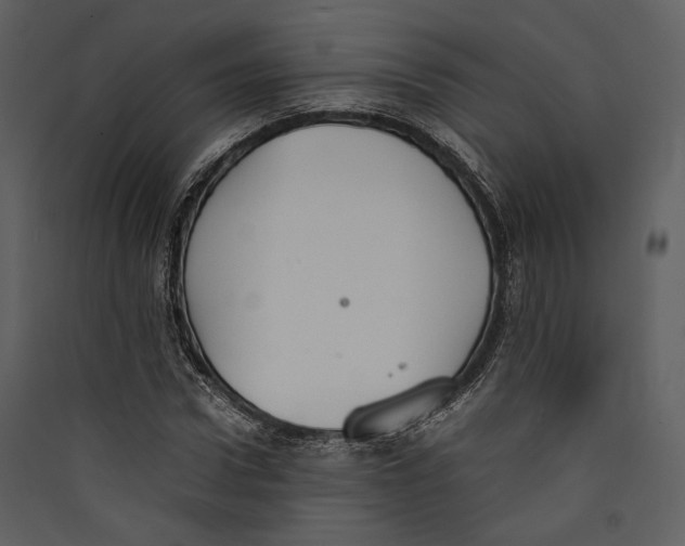 X0000089370922200707131634