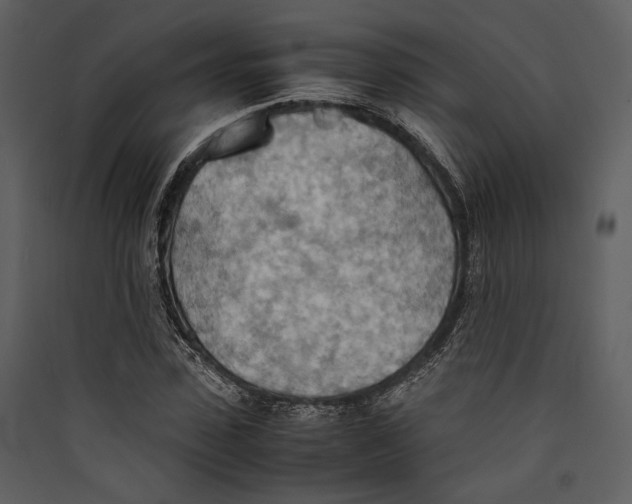 X0000089370923200707131634