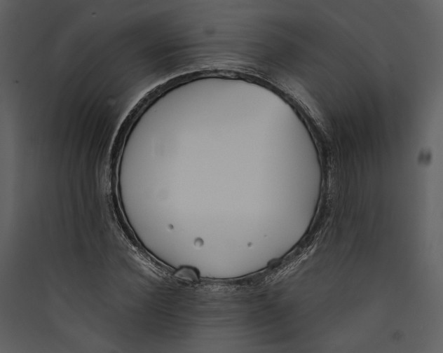 X0000089370924200707131634