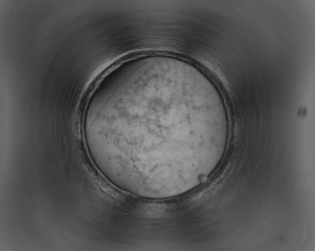 X0000089370925200707131634