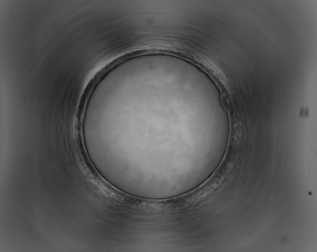 X0000089370928200707131634