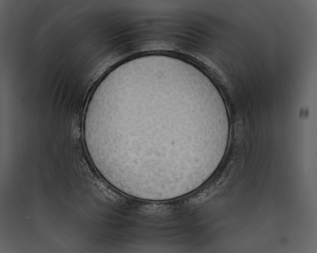 X0000089370929200707131634