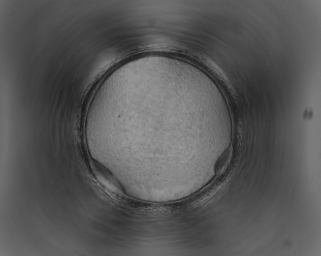 X0000089370930200707131634