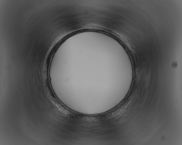 X0000089370931200707131634