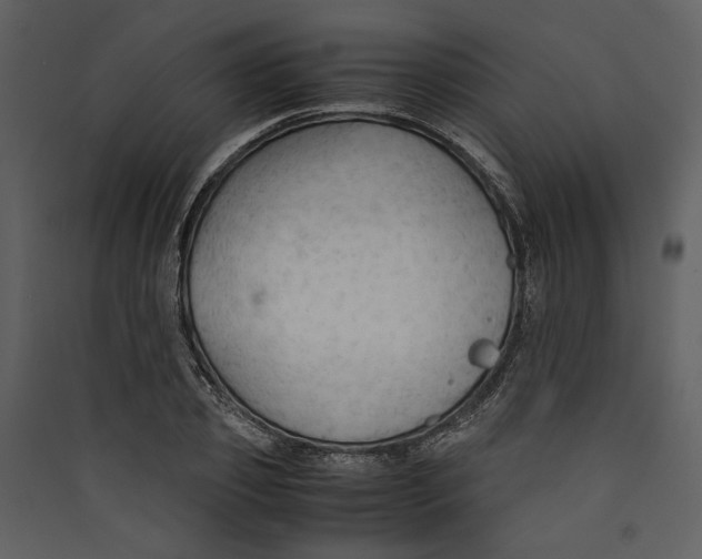 X0000089370933200707131634