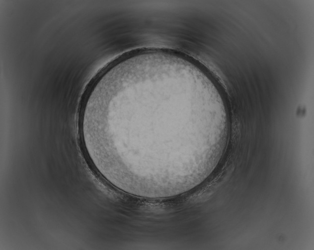 X0000089370935200707131634