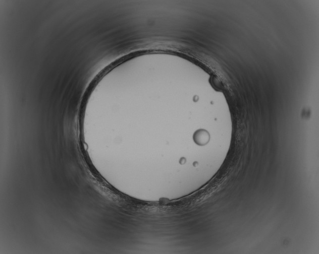 X0000089370936200707131634