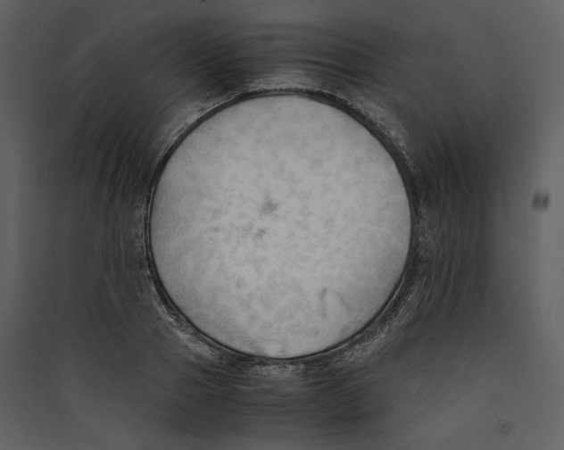 X0000089370937200707131634