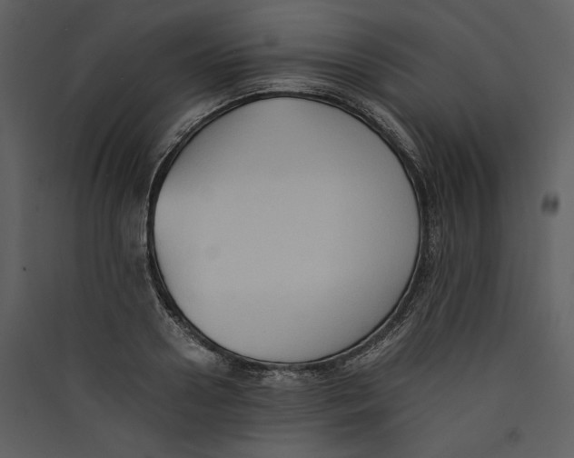 X0000089370938200707131634