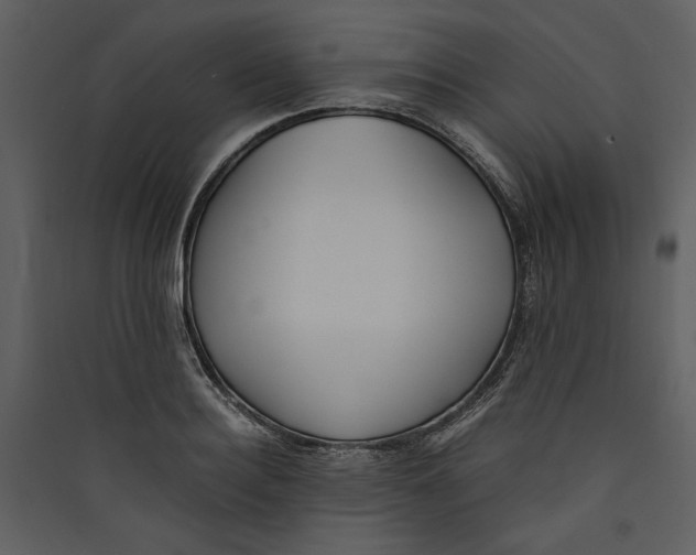 X0000089370940200707131634