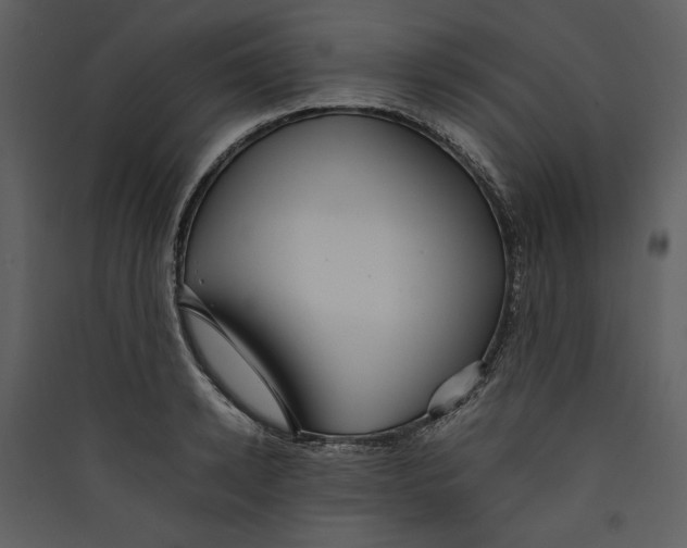 X0000089370942200707131634