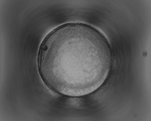 X0000089370943200707131634