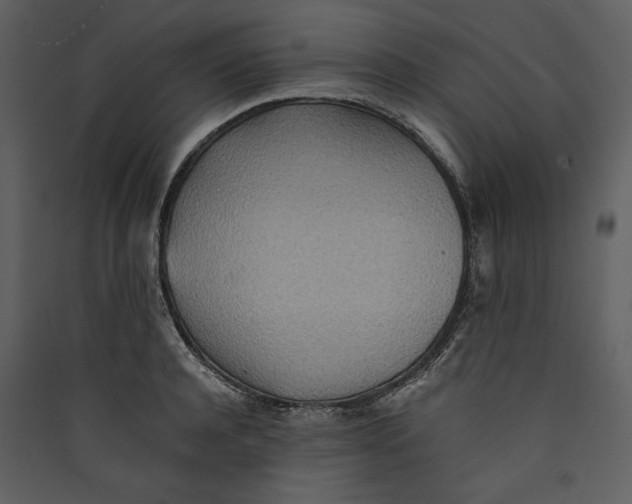 X0000089370944200707131634