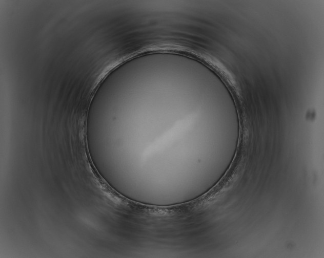 X0000089370945200707131634