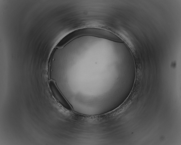 X0000089370948200707131634