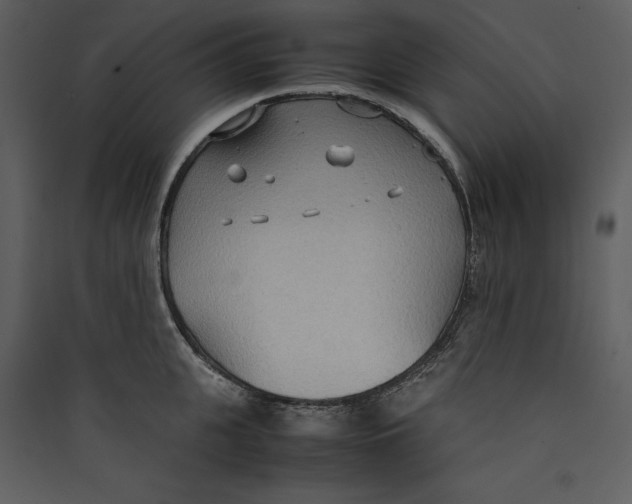 X0000089370951200707131634