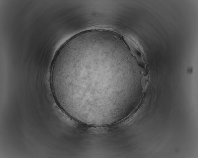 X0000089370952200707131634