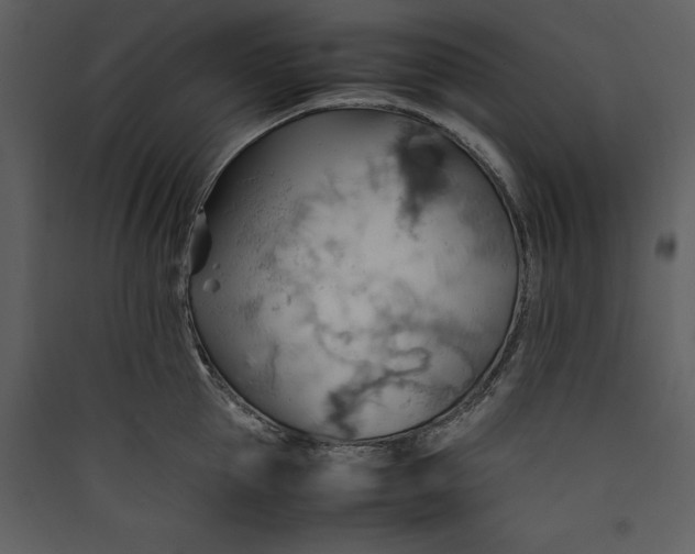 X0000089370953200707131634