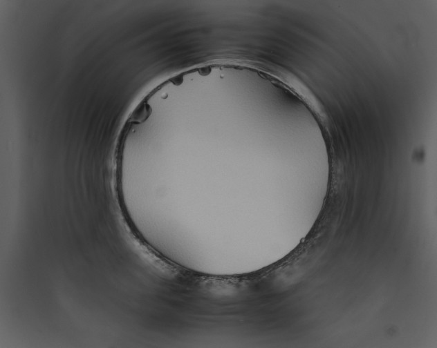 X0000089370955200707131634