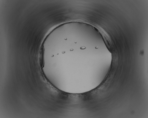 X0000089370956200707131634