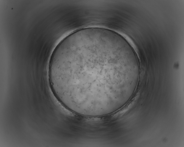 X0000089370957200707131634