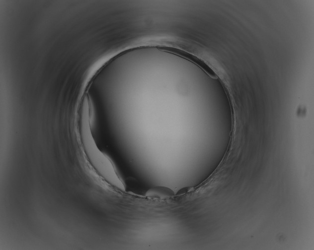 X0000089370960200707131634