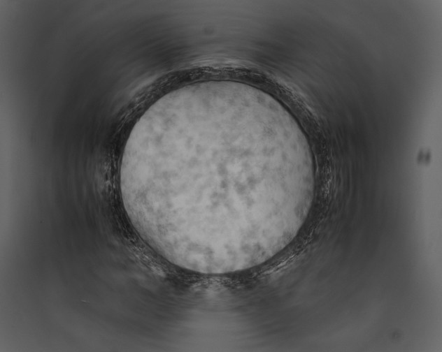 X0000089370966200707131633