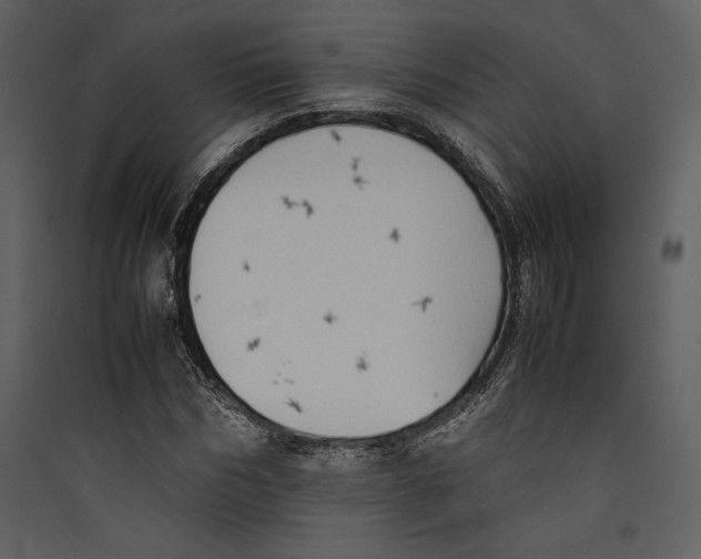 X0000089370970200707131633