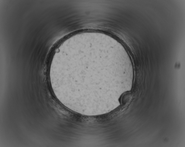 X0000089370971200707131633