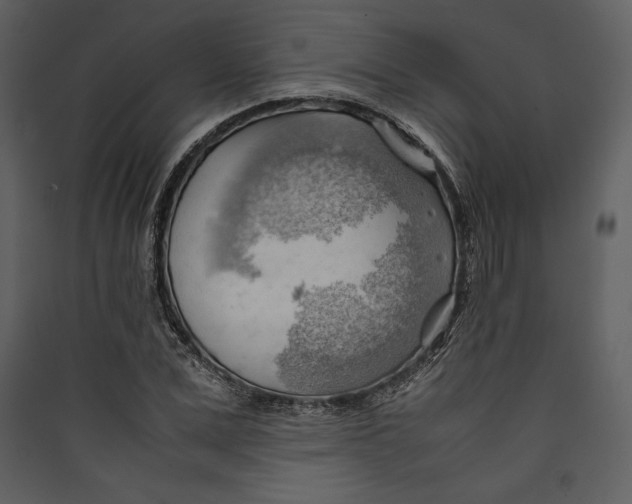 X0000089370975200707131633