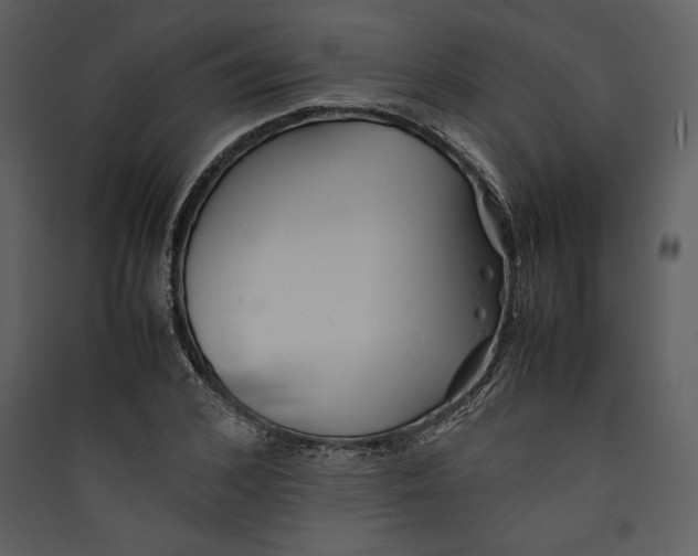 X0000089370976200707131633