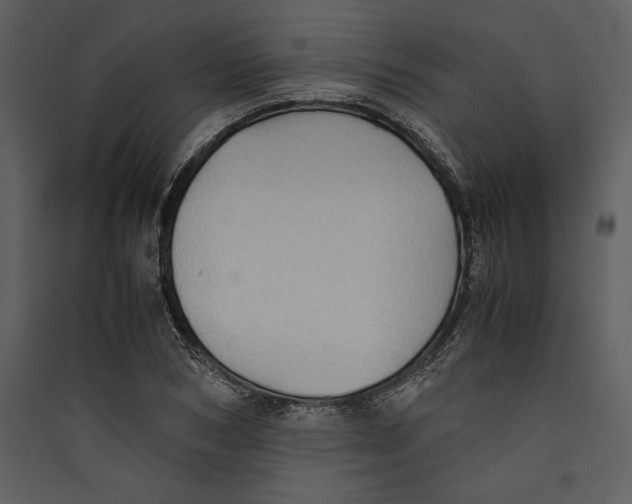 X0000089370978200707131633