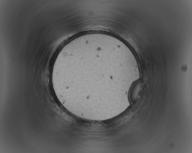 X0000089370979200707131633
