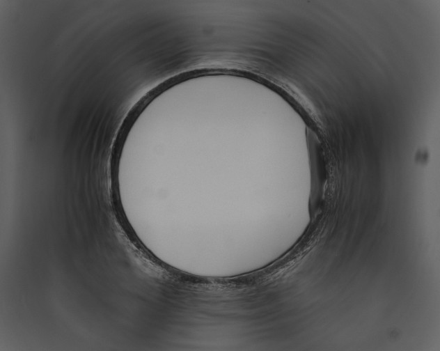 X0000089370980200707131633