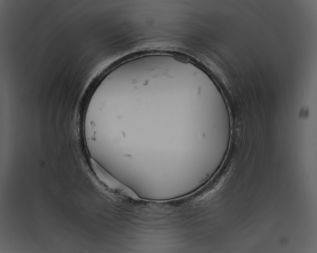 X0000089370981200707131633