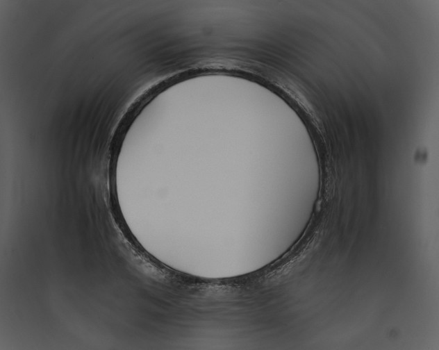 X0000089370984200707131633