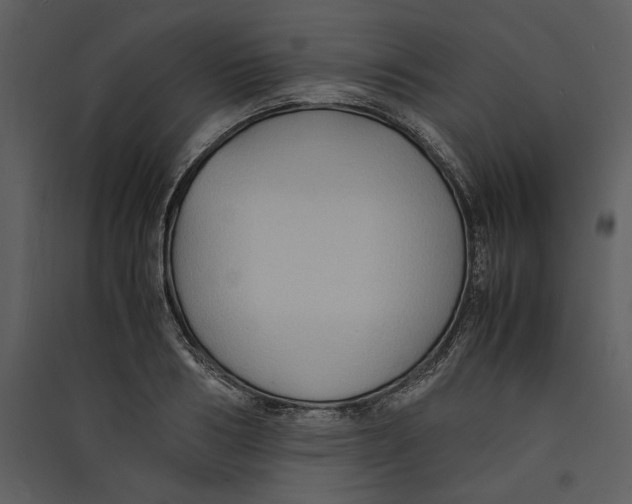 X0000089370986200707131633