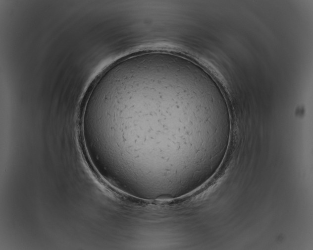 X0000089370989200707131633
